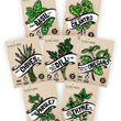 Load image into Gallery viewer, Herb Seeds "SillySeed"