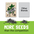 Load image into Gallery viewer, Herb Seeds "SillySeed"