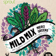 Load image into Gallery viewer, Microgreens Seeds