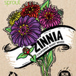 Load image into Gallery viewer, Flower Seeds